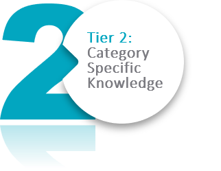 How Do Leading Organisations Build a ‘Procurement Ready’ Knowledge Base? - Tier 2: Category Specific knowledge
