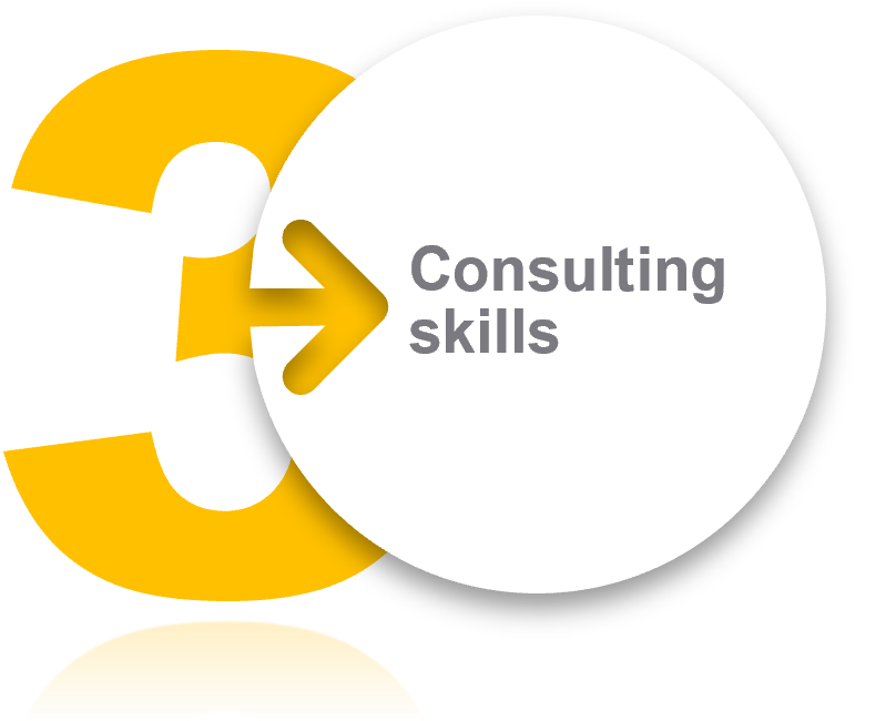 Business partner - 3 Consulting skills
